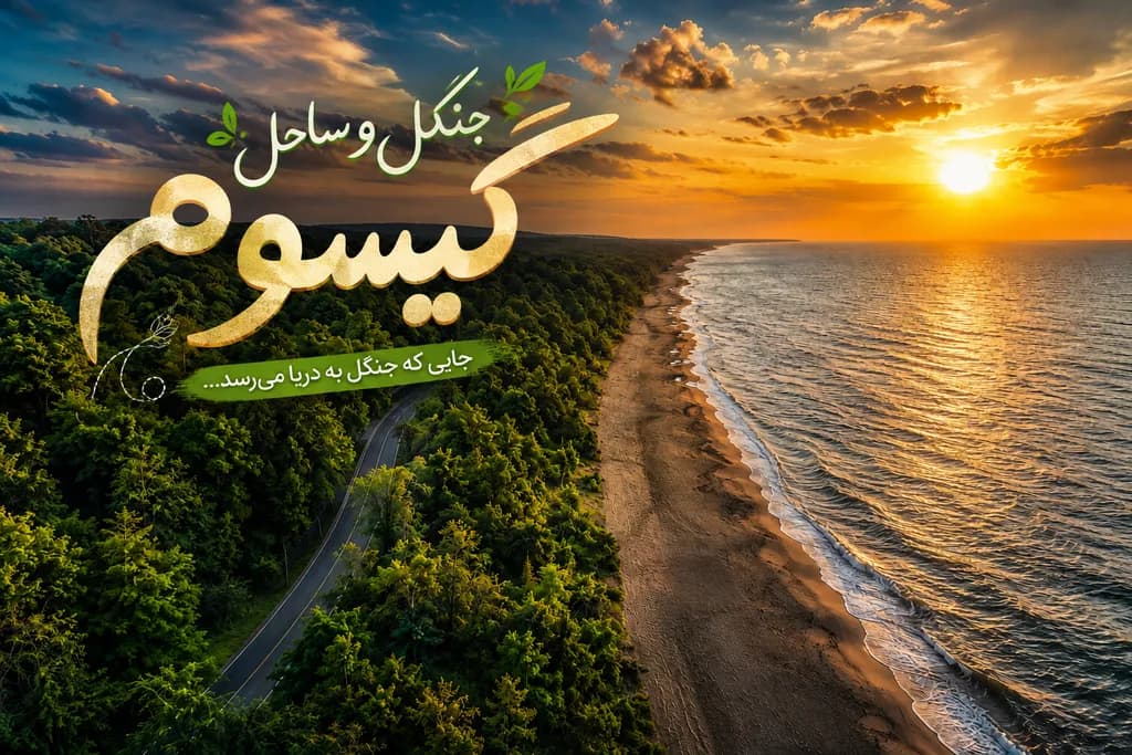 جنگل گیسوم؛ راهنمای کامل سفر، مسیر دسترسی، تفریحات و اقامت